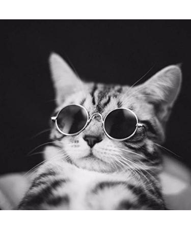 MMY Pet Sunglasses - Metal Frame Small Round Sunglasses for Cats & Small Dogs - Golden & Blue - Stylish Eye Protection - Buy Online on GoSupps.com