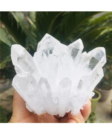 Natural Clear Quartz Crystal Cluster Minerals for Reiki Stone Home Furnishing Decoration Suitable for Furniture Decoration Full of Texture (Size : 700-800g) - Buy Online on GoSupps.com
