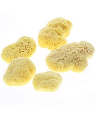Fine-Pored Soft Silk Natural Bath Sponge | Kosmetex Hygiene & Watercolor Sponge 10 cm - International Shipping Available - Buy Online on GoSupps.com