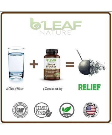 Chanca Piedra Extract 1000mg - Urinary Tract & Gallbladder Support - 100 Veg Caps - Buy Online on GoSupps.com