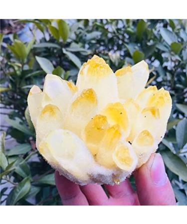 Crystals Stones Natural Yellow Ghost Quartz Crystals raw Gemstone Specimen for Home&Office Decoration fengshui (Size : 700-800g) HOMEZHOU (Size : 600-700g) - Buy Online on GoSupps.com