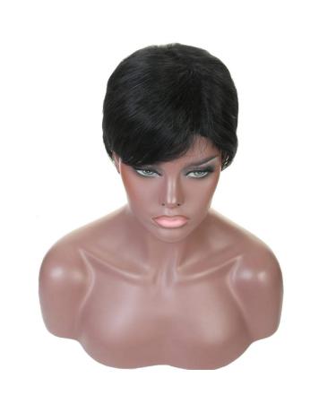 SHIYID Short Synthetic Hair Extension Wig for Women | High Temperature Fiber Fashion Wig - Buy Online on GoSupps.com