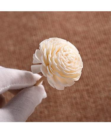 ABOOFAN Rattan Sticks for Room Fragrance 3PC Aromatherapy Diffuser Refill & Dry Flower Sticks for Home Decoration - Buy Online on GoSupps.com