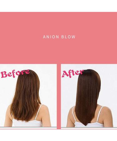 ADITAM Household Goods Hair Dryer Hair Dryer Female Home High-Power Negative Ion Barber Shop Does Not Hurt The Dormitory Mute Hot and Cold Hair Dryer Hair Diffuser Double The Comfort - Buy Online on GoSupps.com