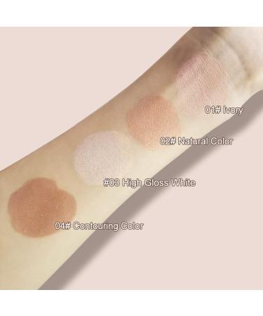 Erinde Contour Pencil & Brushes | Waterproof Longwear Highlighting & Bronzer Stick - #02 Natural & #04 Contouring Shades - Buy Online on GoSupps.com