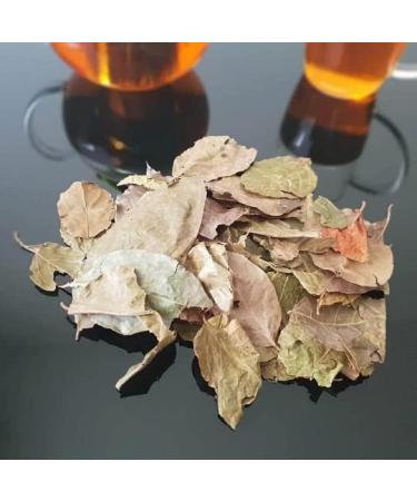 Kinkeliba leaves 100 g feulle de kink liba Deggeh seh haw sehhaw feiba kenkeliba djeka qinkeliba natural and wild - Buy Online on GoSupps.com