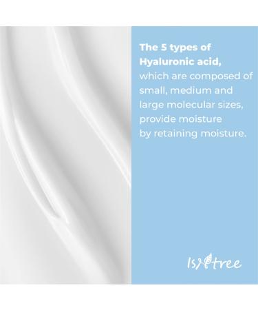 ISNTREE Hyaluronic Acid Aqua Gel Cream 100ml | Fast Absorbing & Hydrating Formula - Buy Online on GoSupps.com