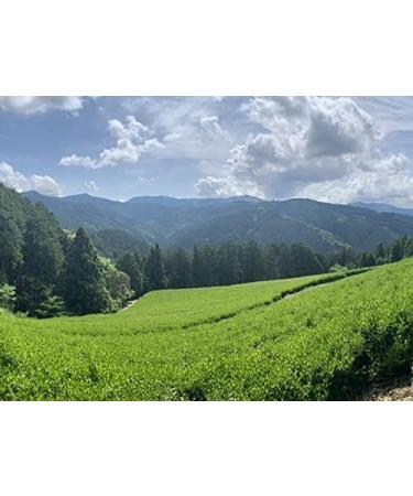 Premium Gyokuro by CHILL TEA Tokyo - Jewel dew - Exclusive Japanese green tea - Mellow deep Umami - 60g - Buy Online on GoSupps.com