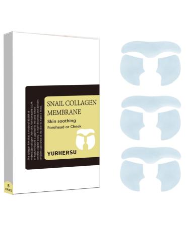 Snail Collagen Patches Facial Mask 15Pcs Forehead & Cheeks Anti Wrinkle Membrane Improves Skin Elasticity Firming Lifting Moisturizing Brightening Smooth Fine Lines & Wrinkles 3Pcs*5 packs DB