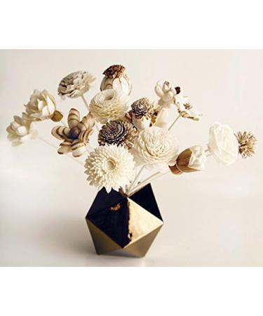 Shop Reed Diffuser with 18 Mixed Sola Wood Flowers - Premium Room Fragrance by Plawanature - International Shipping Available - Buy Online on GoSupps.com