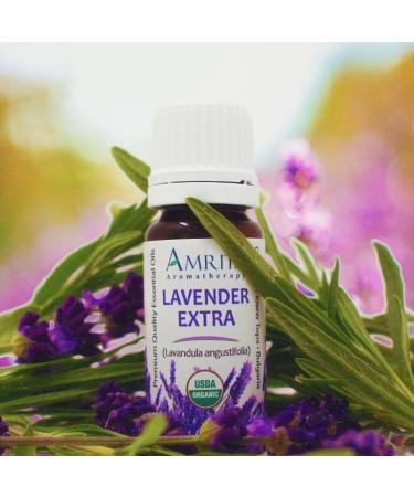 Lavender Extra Essential Oil 100% Pure Undiluted French Lavandula angustifolia Therapeutic Grade Premium Quality Aromatherapy Oil Tested & Verified 10ML Lavender 10 Fl Oz (Pack of 1) - Buy Online on GoSupps.com