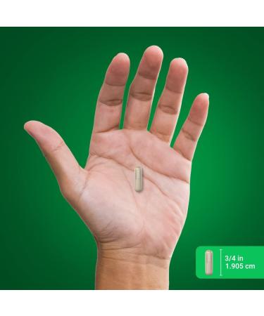 Piping Rock Saw Palmetto for Men and Women | 250 Capsules | Herb Extract Supplement | Serenoa Repens | Non-GMO Gluten Free - Buy Online on GoSupps.com