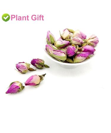 Buy France Rose Tea - Fragrant Natural Rosa Damascena Buds | 50g | Premium Herbal Flower Tea for Health - Buy Online on GoSupps.com