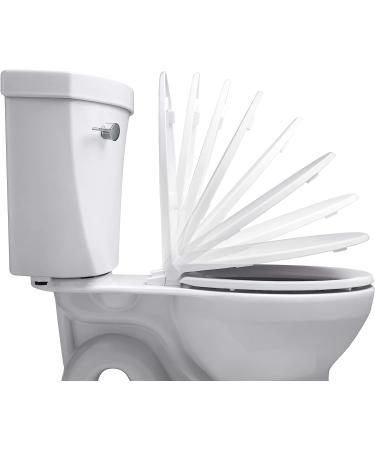 KOHLER Stonewood Quiet-Close Round-front  Slow-Close  Wood  White toilet seat  K-20467-0  White White Rounded Stonewood - Buy Online on GoSupps.com