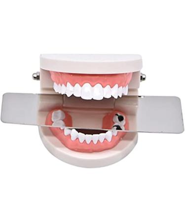 Buy Spuzzo 4-Piece Dental Orthodontic Intraoral Reflector Mirror Set - Dual-Sided Photography & Occlusion Mirrors for Professionals - International Shipping Available - Buy Online on GoSupps.com