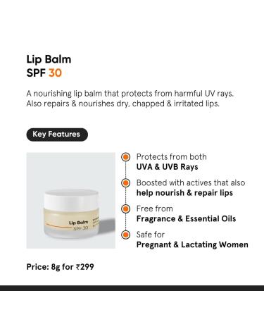 Buy SPF 30 Lip Balm with Ceramides & Hyaluronic Acid - Nourishing Lip Protection for Men & Women - 8g - Buy Online on GoSupps.com