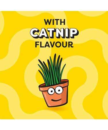 DREAMIES Cat Treats with Catnip Flavour 350g MegaTub Pack of 2 non applicable - Buy Online on GoSupps.com