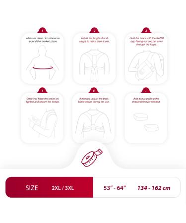 Adjustable Back Corrector Brace for Women & Men - Posture Support for Collarbone & Shoulder Blade - Plus Size Padded Clavicle Corrector - Black 2X/3X (Pack of 1) - Buy Online on GoSupps.com