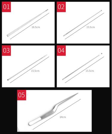 5Pcs Stainless Steel Ear Wax Remover Kit | Professional Ear Cleaning Tools - Buy Online on GoSupps.com