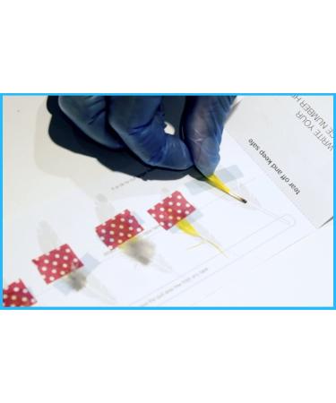 Avian DNA Sexing Kit for Parrots, Macaws, Lovebirds & More (+300 Psittacines) - Gender Reveal Test Card - Buy Online on GoSupps.com