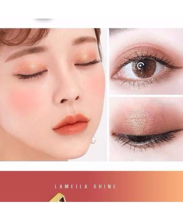 Sequin Diamond Eyeshadow Palette Set Pearlescent Net Red Animal Matte Eyeshadow Student (Size : 05-2) - Buy Online on GoSupps.com
