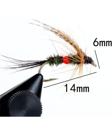 Ancllo Fly Fishing Set - 32 Pieces for Dry & Wet Flies Nymphs Perch Salmon & Trout - Boxed International Shipping - Buy Online on GoSupps.com