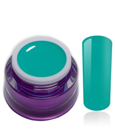 Color Gel Blue Mint Blue Uv Led Nail Gel Studio Quality Color Gel RM Beautynails 1 Pack (1x 5ml)