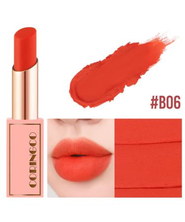 Berry Chu Velvet Matte Lip Stick - Long Lasting Korean Idol Lip Makeup (B06) | Shop Now for International Shipping - Buy Online on GoSupps.com