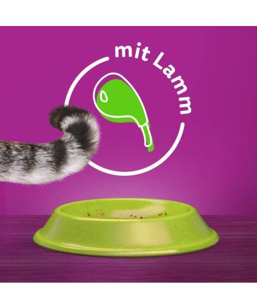 Buy Whiskas Adult 1+ Dry Food with Lamb - 5x800g Packs | Premium Cat Food for Adult Cats - International Shipping Available - Buy Online on GoSupps.com