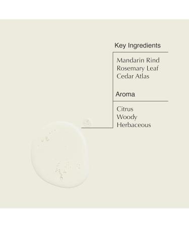 Aesop Resurrection Rinse-Free Hand Wash | Alcohol-Based Gel with Purifying and Hydrating Properties | Travel Size 1.7 oz (Pack of 3) - Buy Online on GoSupps.com