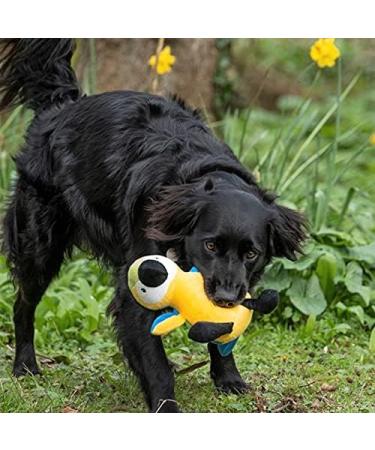 Petface Planet Percy Parrot Eco Plush Dog Toy - Sustainable & Fun for Pups - Buy Online on GoSupps.com