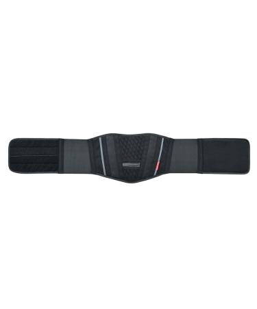 Blackwild Kidney Belt - Premium Back Support for Pain Relief | Ideal for Motorcycle Cycling Weightlifting & Gym - 2XL (125-140cm) - Buy Online on GoSupps.com