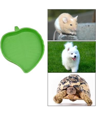 ANZONGYI 2 Pieces Leaf Shape Reptile Food Bowls Food Feeding and Water Dish Plate Used for Tortoise Corn Snake Crawl Pet Drinking and Eating - Buy Online on GoSupps.com