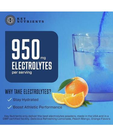 Key Nutrients Electrolyte Powder - 3 Sugar-Free Flavors | Keto-Friendly & Gluten-Free | 40 Portions of Essential Magnesium & Potassium - Buy Online on GoSupps.com