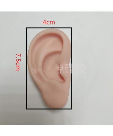 Chengyida Silicone Ear Acupuncture Practice Model - Right & Left Ear Teaching Resources for Medical Science - Buy Online on GoSupps.com
