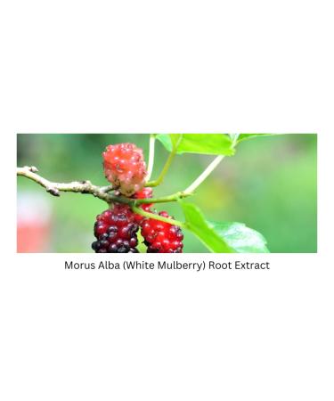 Hyaluronic Acid Serum for Hydrated Skin | 1.7 fl oz | Shop Internationally - Buy Online on GoSupps.com