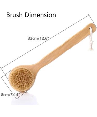 HiKin 12.6 Long Handle Dry Bath Body Brush with Natural Bristles Exfoliating, Blood Circulation, Detox - Anti-Slip Wooden Handle - Buy Online on GoSupps.com