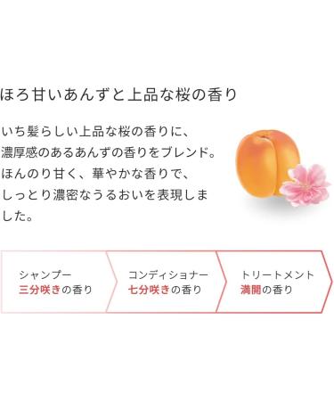  Ichikami Ichikami Dense W Moisturizing Rinse Treatment 230 g - Buy Online on GoSupps.com