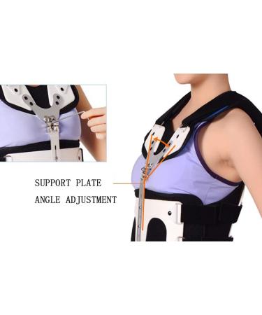 Dameco Lumbar Spine Orthosis - Breathable Thoracolumbal Bracket for Men & Women | Lightweight & Comfortable Support - Buy Online on GoSupps.com