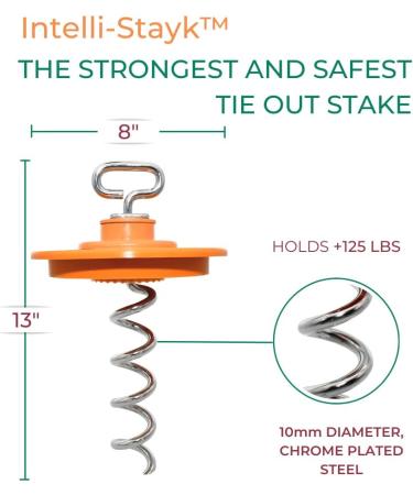 Intellileash Products Intelli-Stayk Dog Tie-Out Stake with Special Surface Lock Technology. Prevents Pulling Out and Bending. (Intelli-Stayk with Beast Dog Surface-Lock) - Buy Online on GoSupps.com