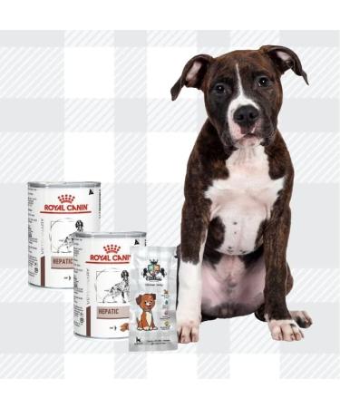 AETN Creations Hepatic Adult Dog Food Pack 2x420g Wet Food in Loaf Support Your Canine Companion's Liver Health Comes with AETN Chicken Jerky Dog Treat - Buy Online on GoSupps.com