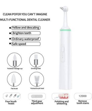 Electric Dog Toothbrush Pet Tartar Remove for Teeth Electric Teeth Polisher for Dog Plaque Stain Teeth Cleaner with 4 Brush Head Dental Care Cleaning Tools Kit for Dogs Cats (Green) - Buy Online on GoSupps.com