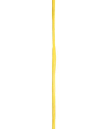 Berwick Offray Daffodil Yellow Pearlized Raffia Ribbon 1/4'' - 100 Yards - Buy Online on GoSupps.com