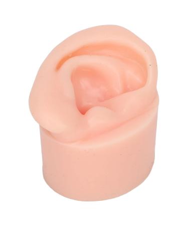 High Simulation Silicone Ear Model for Education - Flexible Soft & Reusable - Left Ear Display - Buy Online on GoSupps.com