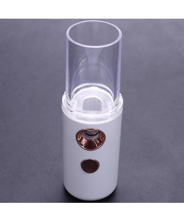 NERTOEE New Mini USB Rechargeable Nano Hydrator Sprayer Women Beauty Instruments Home Use Humidifier Face Steamer Easy to Use White - Buy Online on GoSupps.com