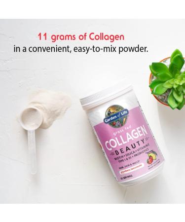 Garden of Life Grass Fed Collagen Beauty - Strawberry Lemonade 9.52 oz (270g) - Premium Collagen Supplement - Buy Online on GoSupps.com