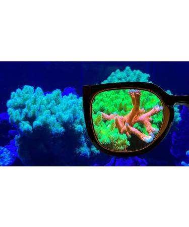 Aqua Medic Coral Glasses - Enhance Your Reef Experience | International Shipping Available - Buy Online on GoSupps.com