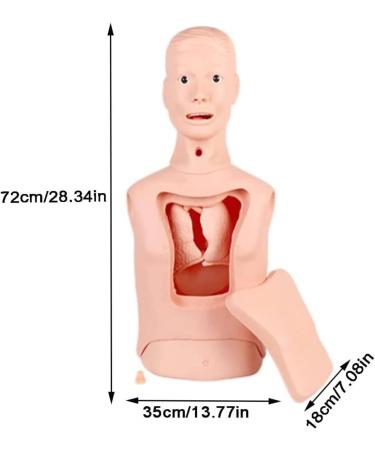 Jingedd Intubation Gastric Tube Model - Advanced Nasogastric & Tracheostomy Training Manikin for Nurses & Medical Students | International Shipping Available - Buy Online on GoSupps.com