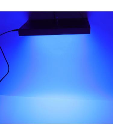Blue Light Therapy Tanning Lamp with 225 LEDs | Full Body & Face Sunlamp for Skin Tanning - Buy Online on GoSupps.com