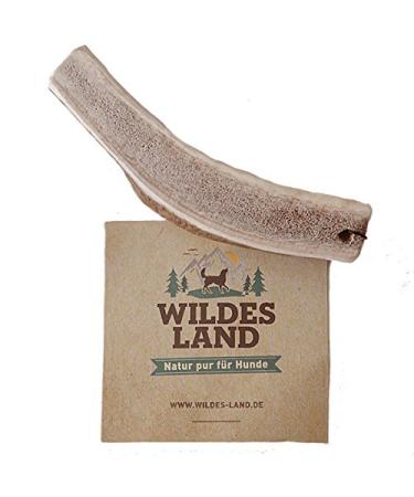 Wild Land - Hirschweih half - M - naturally thrown away antlers - pure natural product without additives - odorless does not splinter - supports the tooth cleaning - antlers